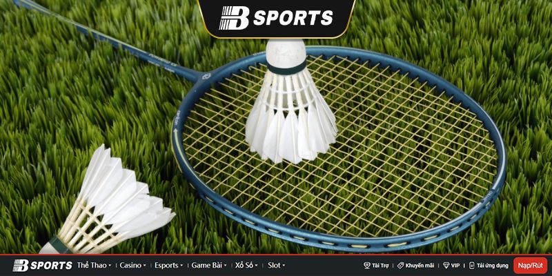 Hướng dẫn cách cá cược cầu lông tại sân chơi Bsports